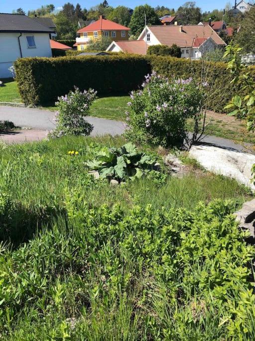 Apartment Comfortable 3 Bedroom On One Floor. Sandefjord