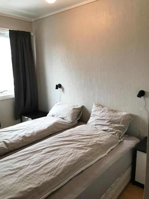 Comfortable 3 Bedroom On One Floor. Apartment *